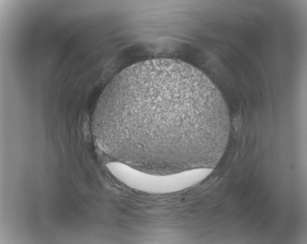 X0000063460963200602171922