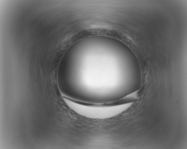 X0000063460965200602171922