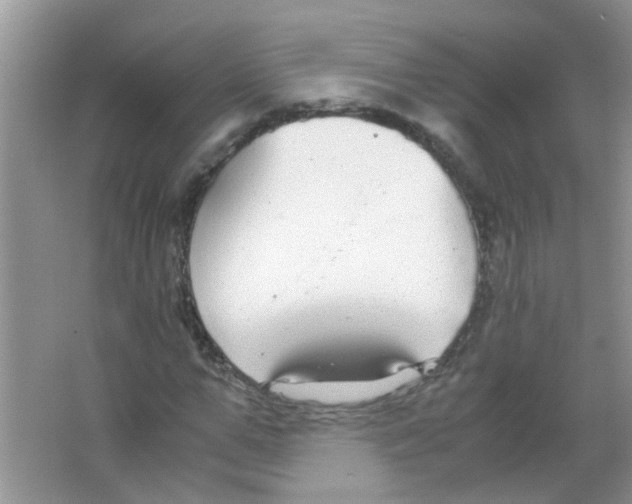 X0000063460967200602171922
