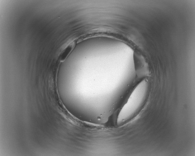 X0000063460969200602171922