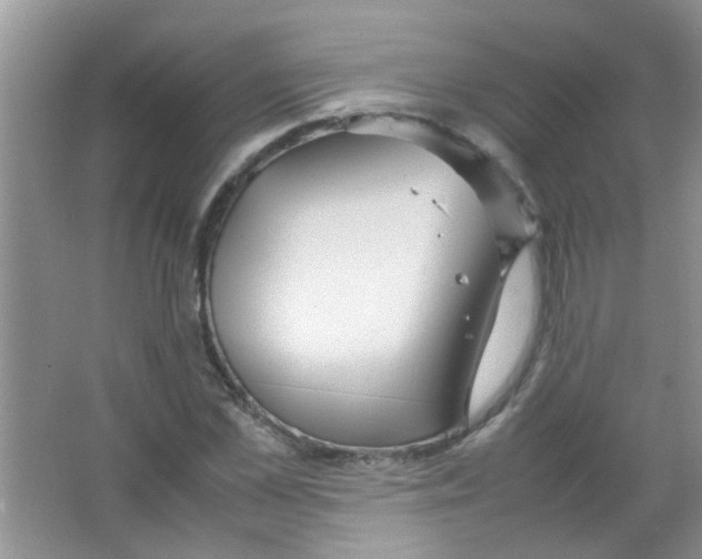 X0000063460973200602171922
