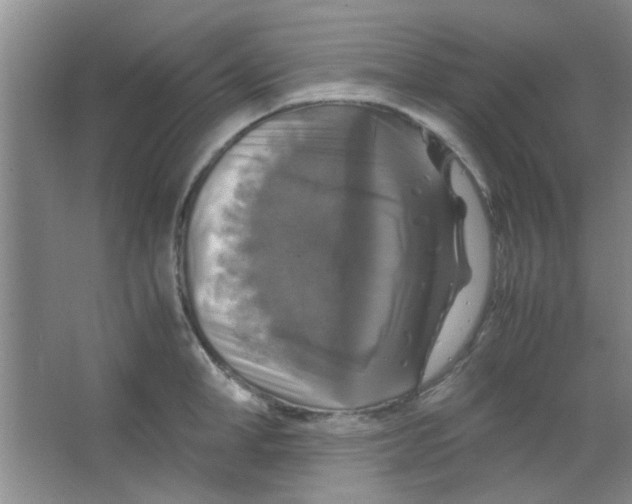X0000063460998200602171922