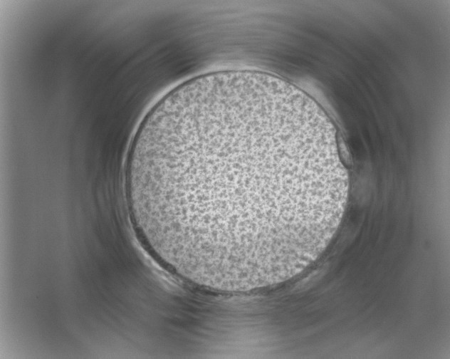 X0000063461004200602171921