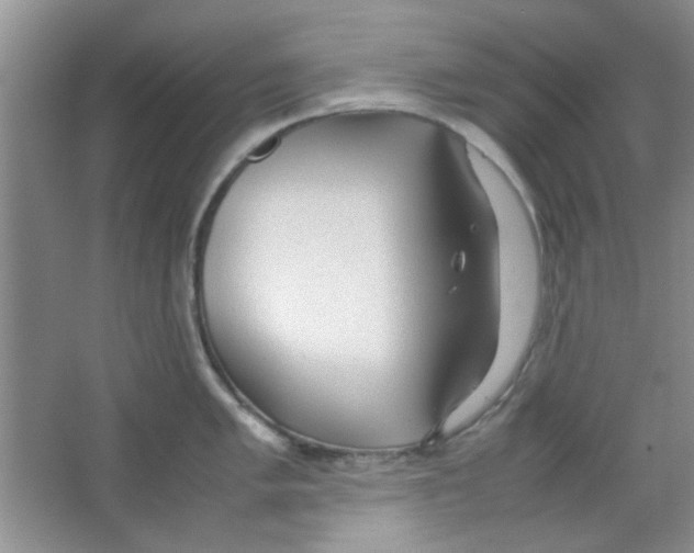 X0000063461005200602171921