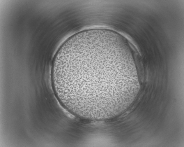 X0000063461006200602171921