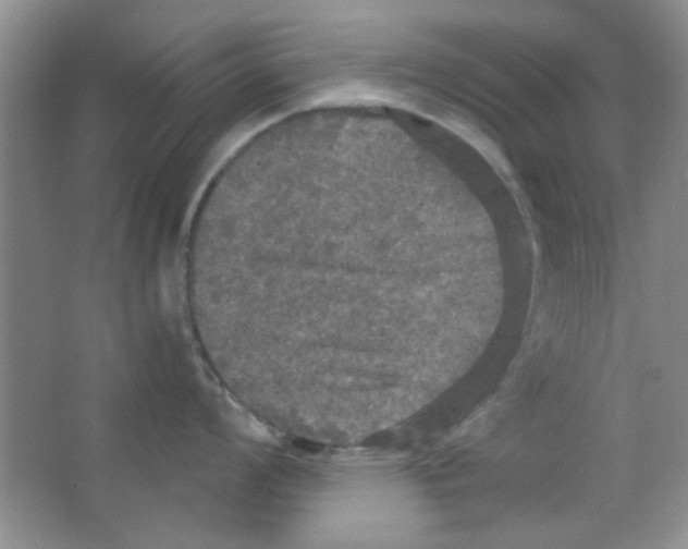 X0000063461008200602171921