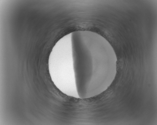X0000063461009200602171920