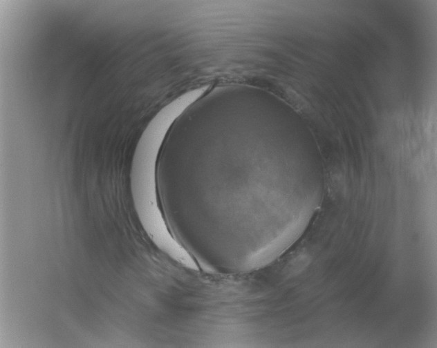 X0000063461010200602171921
