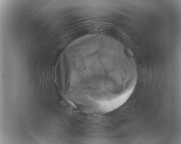 X0000063461013200602171921