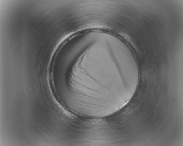X0000063461024200602171921