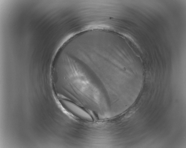 X0000063461038200602171921