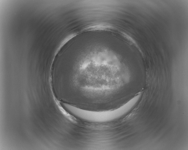 X0000063461042200602171921