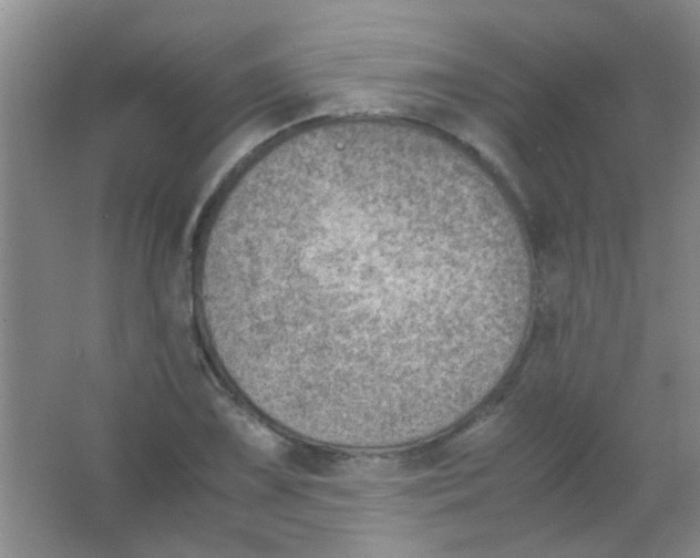 X0000063461075200602171920