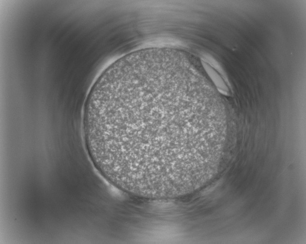 X0000063461103200602171920