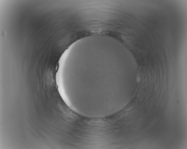 X0000063461106200602171919