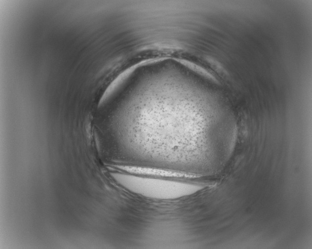 X0000063461110200602171919
