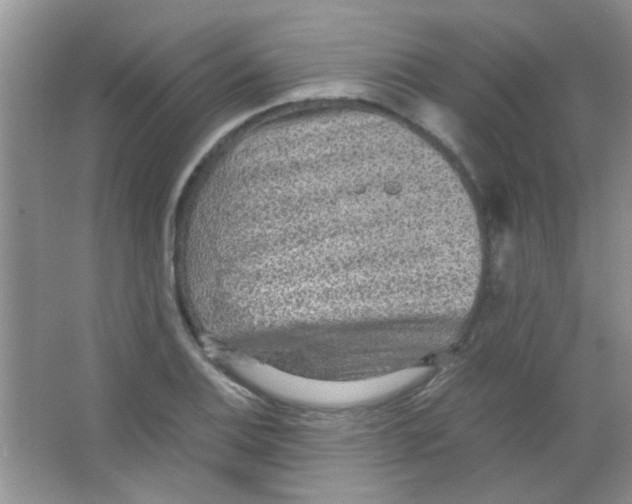 X0000063461124200602171919