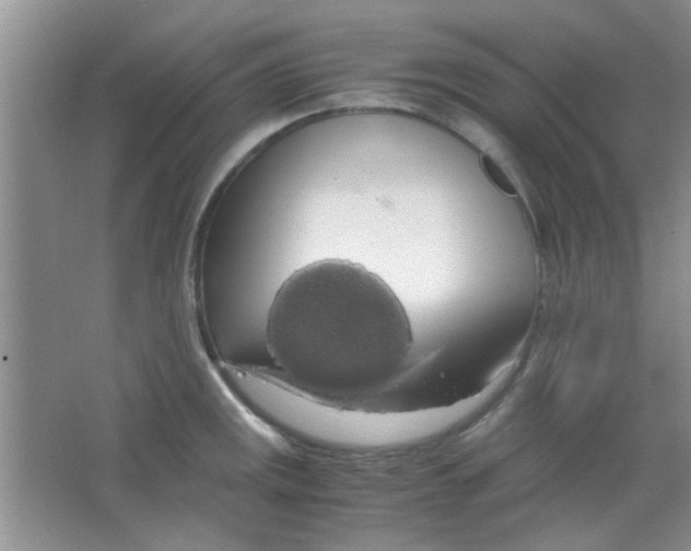 X0000063461141200602171919