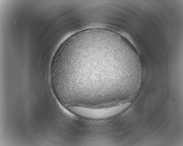 X0000063461143200602171919