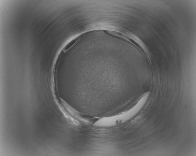 X0000063461144200602171919