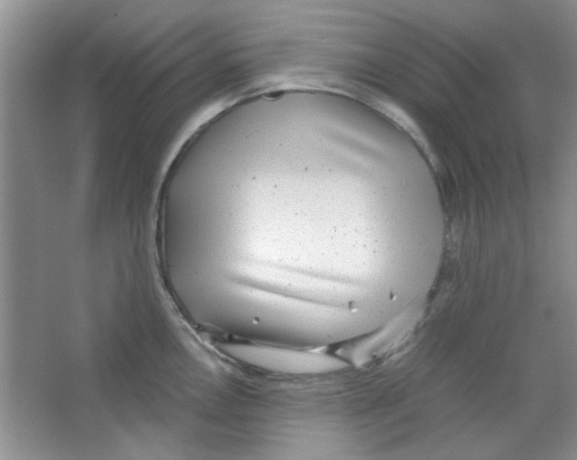 X0000063461146200602171919