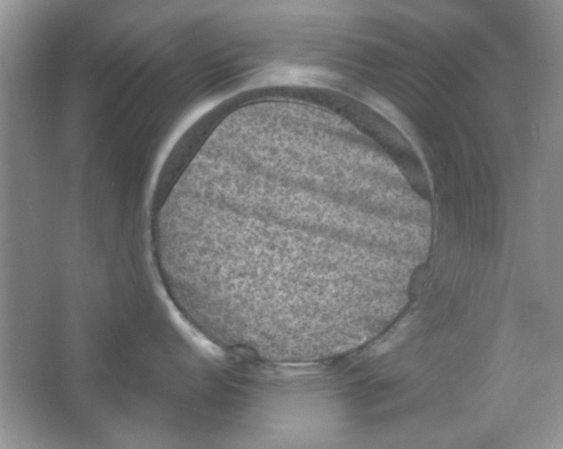 X0000063461152200602171920