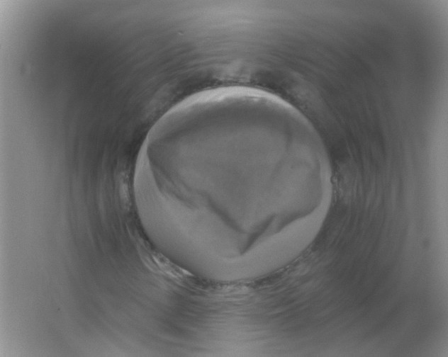 X0000063461154200602171919