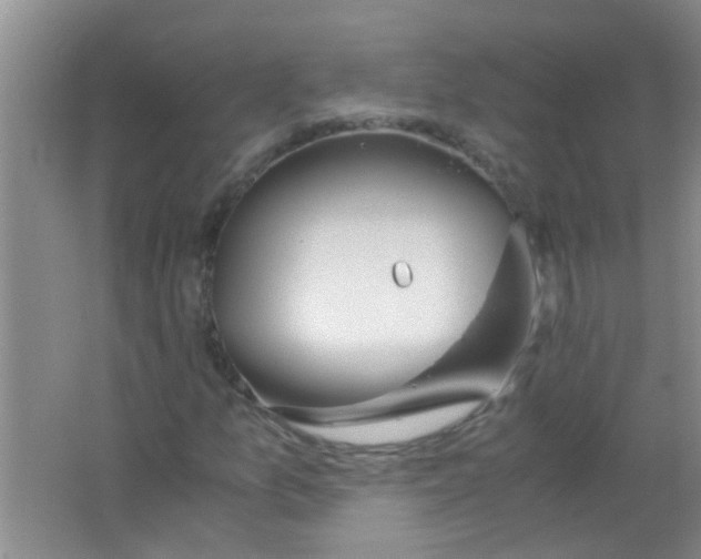 X0000063461157200602171919