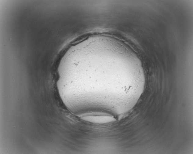 X0000063461160200602171919