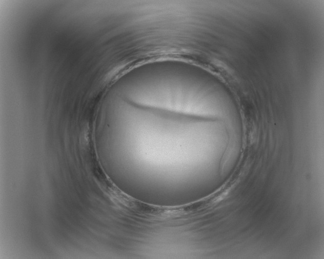 X0000063461161200602171919