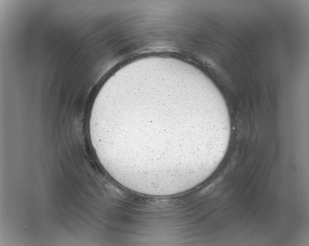 X0000063461162200602171919