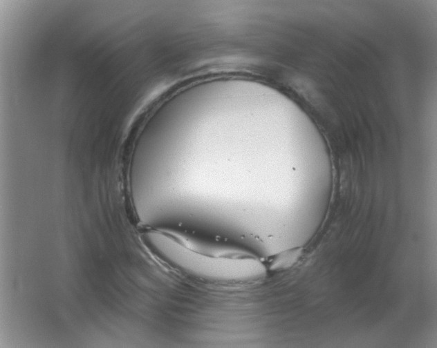 X0000063461164200602171918
