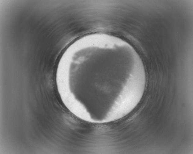 X0000063461170200602171918
