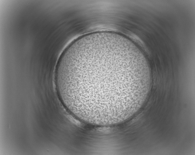 X0000063461182200602171918