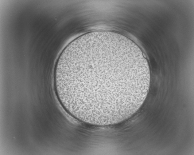 X0000063461195200602171918