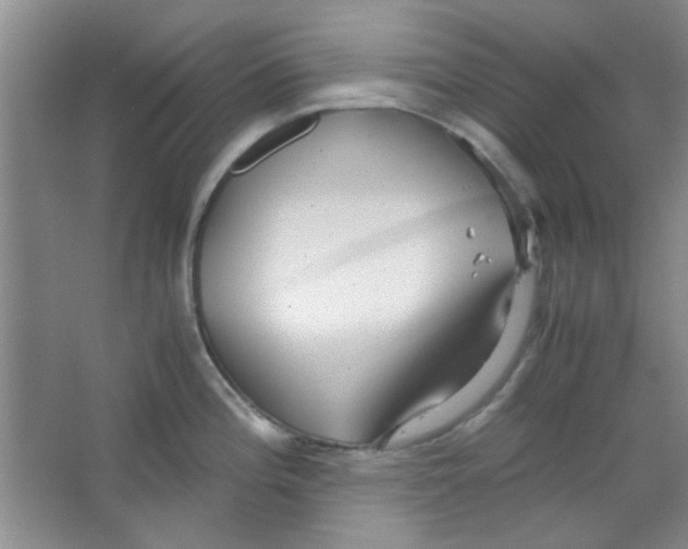 X0000063461196200602171918