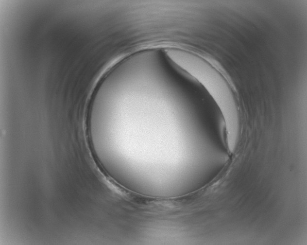 X0000063461197200602171918
