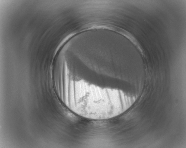 X0000063461198200602171918