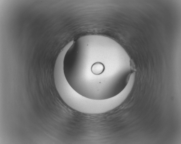 X0000063461202200602171917