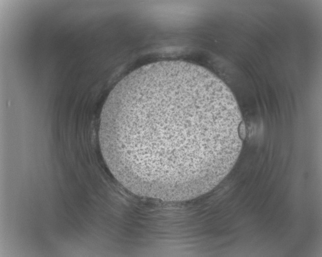 X0000063461204200602171917