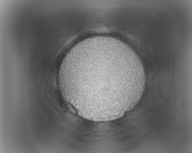 X0000063461205200602171917
