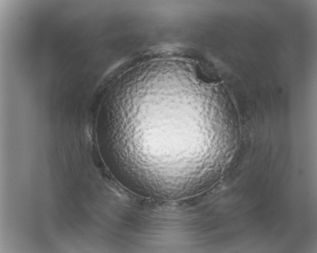 X0000063461206200602171917