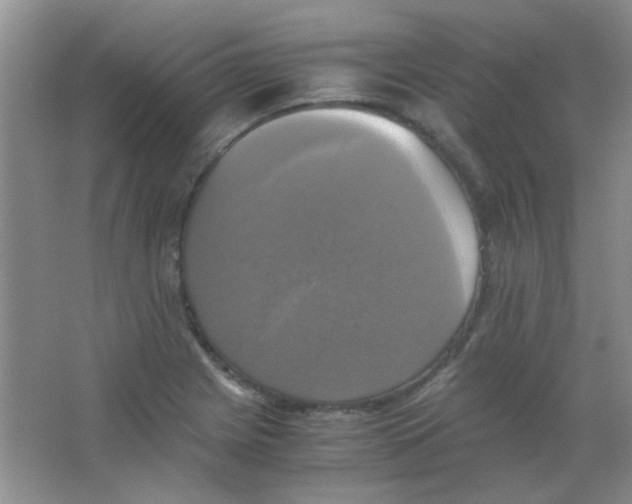 X0000063461225200602171917