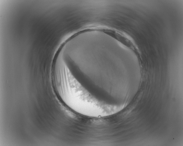 X0000063461231200602171917