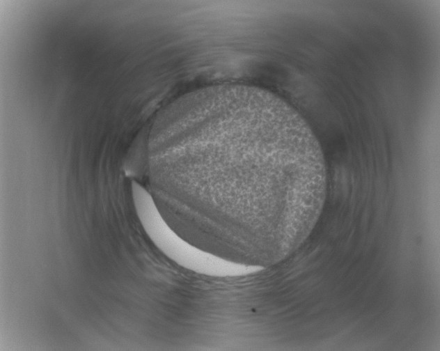 X0000063461250200602171917