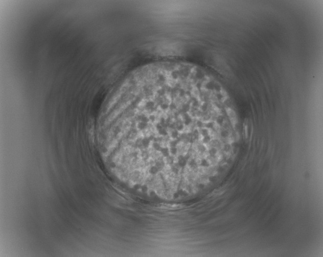 X0000063461251200602171917