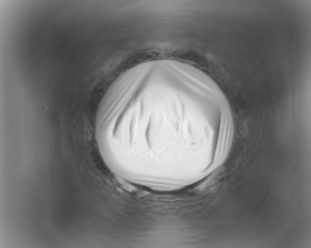 X0000063461253200602171917