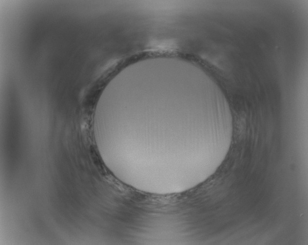 X0000063461254200602171917