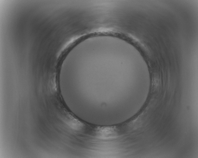 X0000063461262200602171917