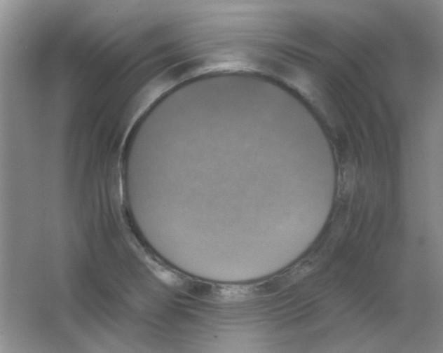 X0000063461274200602171916